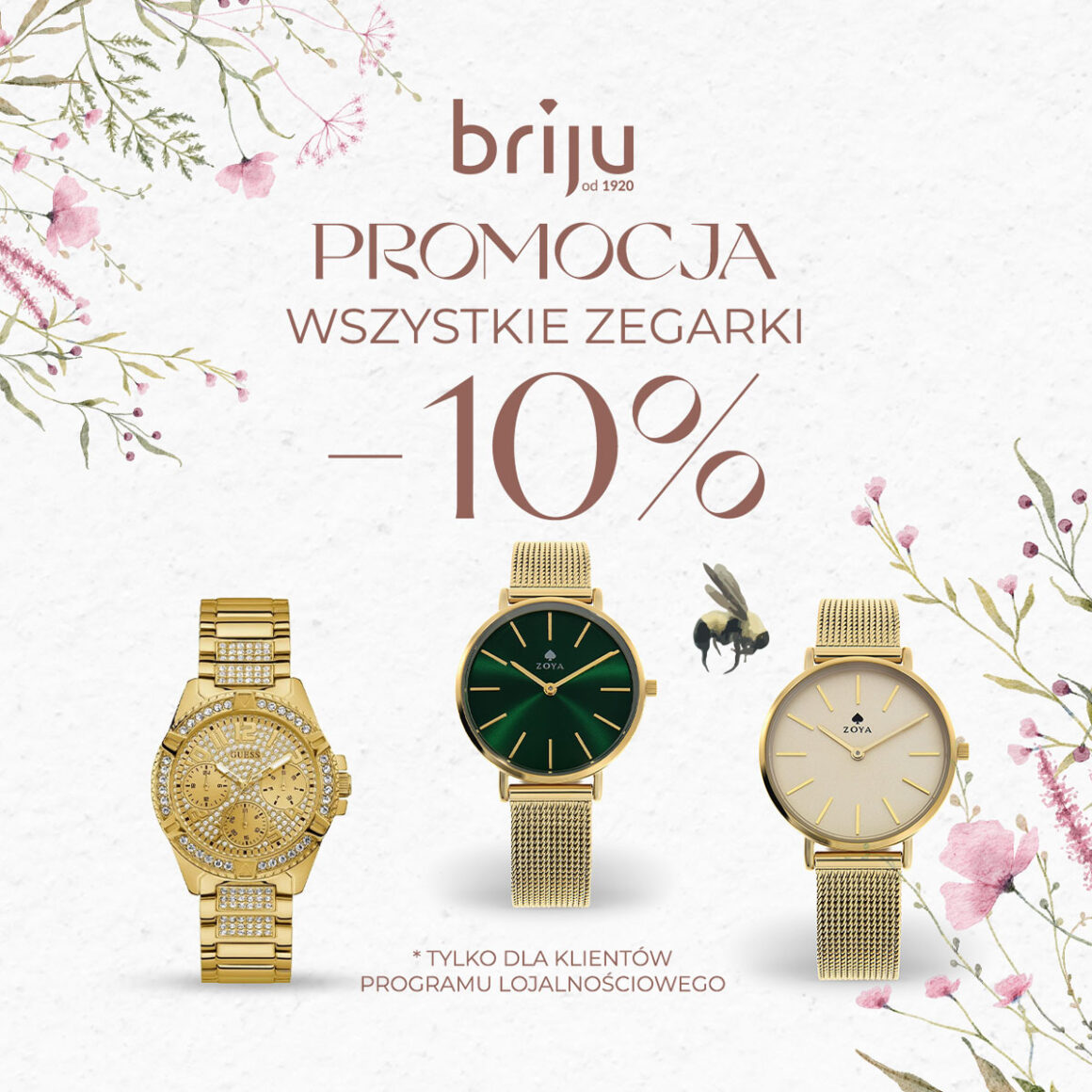 -10% na wszystkie zegarki w Briju!!